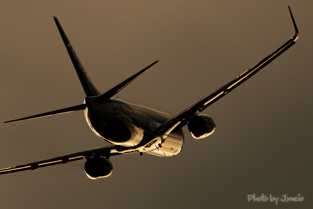 GOLD BOEING