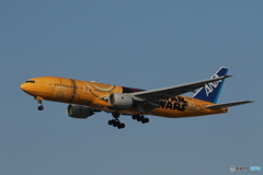 ANA STAR WARS