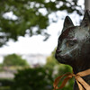 リボンをつけた猫