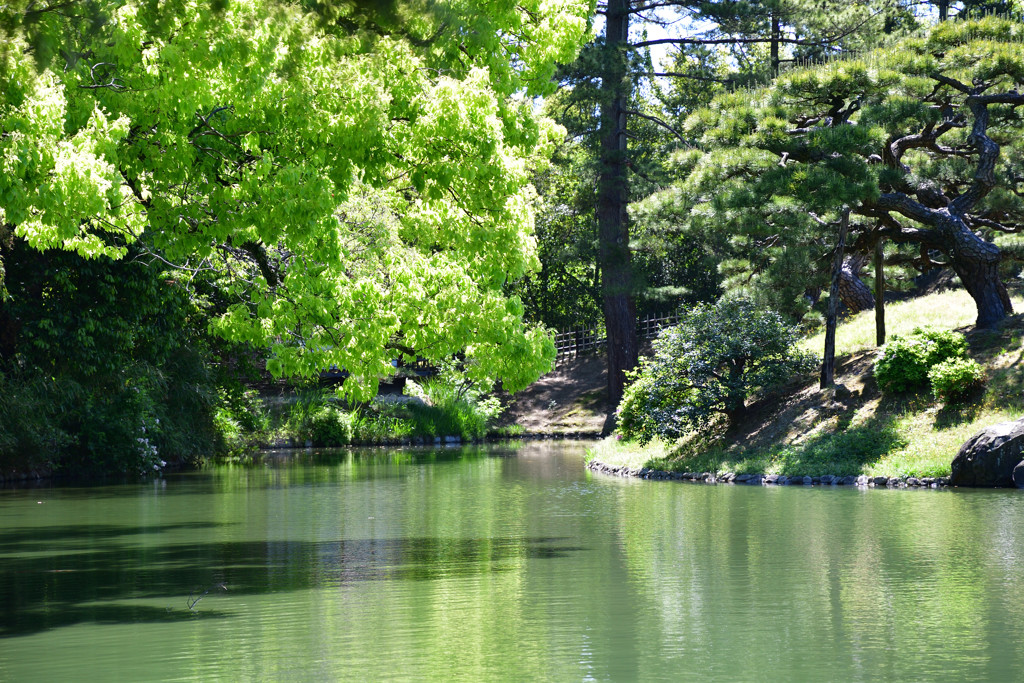 栗林公園の川辺