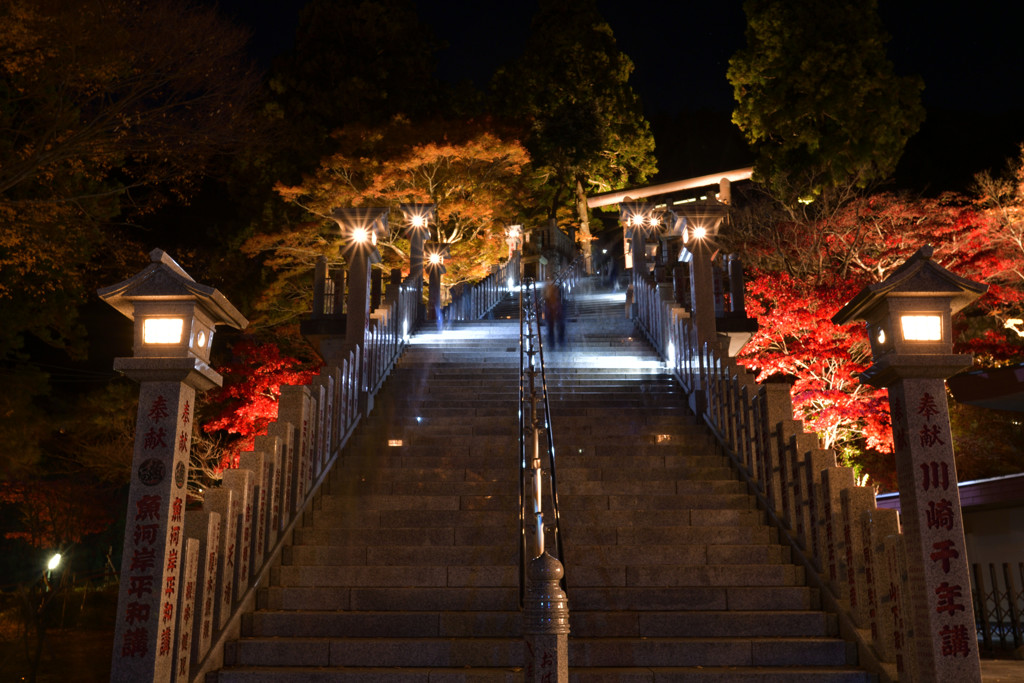 大山阿夫利神社 へ