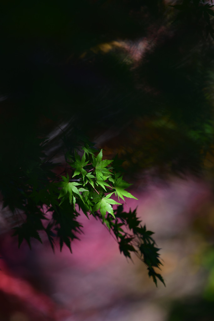 陽だまりの中で