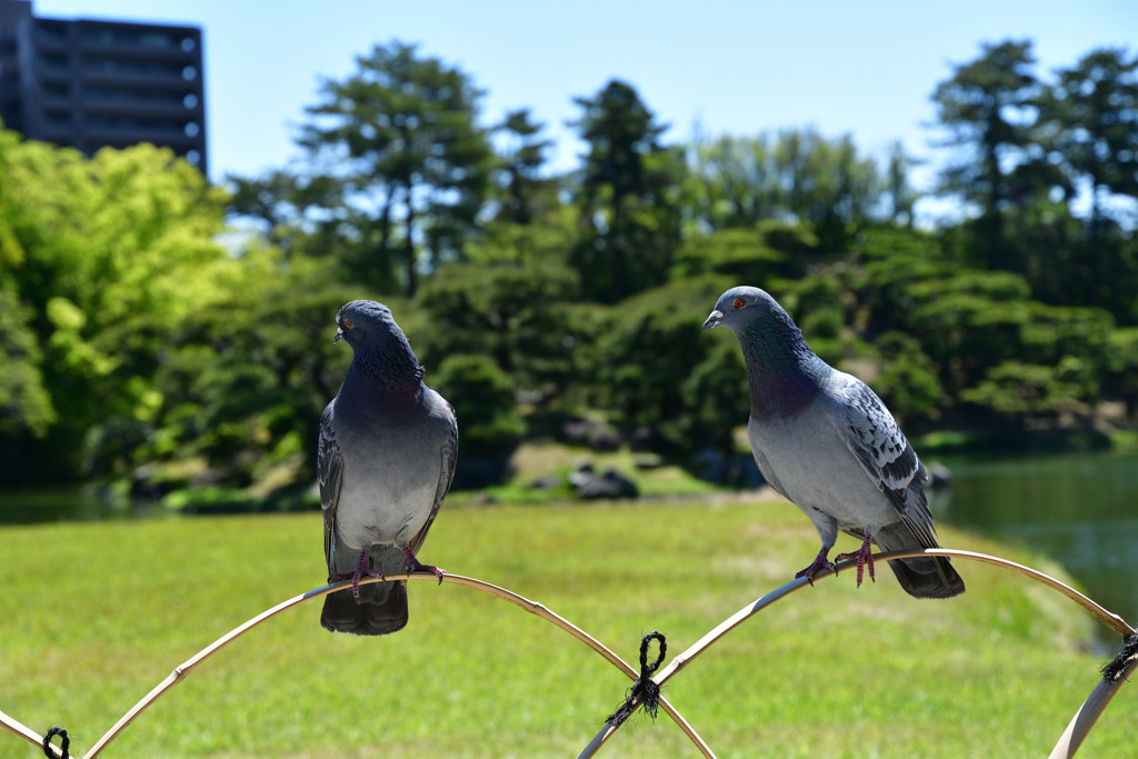どんな事話してるの