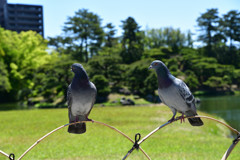 どんな事話してるの