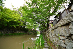 八幡堀巡り