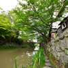 八幡堀巡り