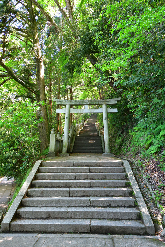 長い階段の先には