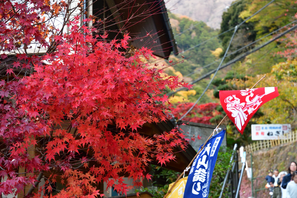 大山詣り