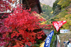 大山詣り