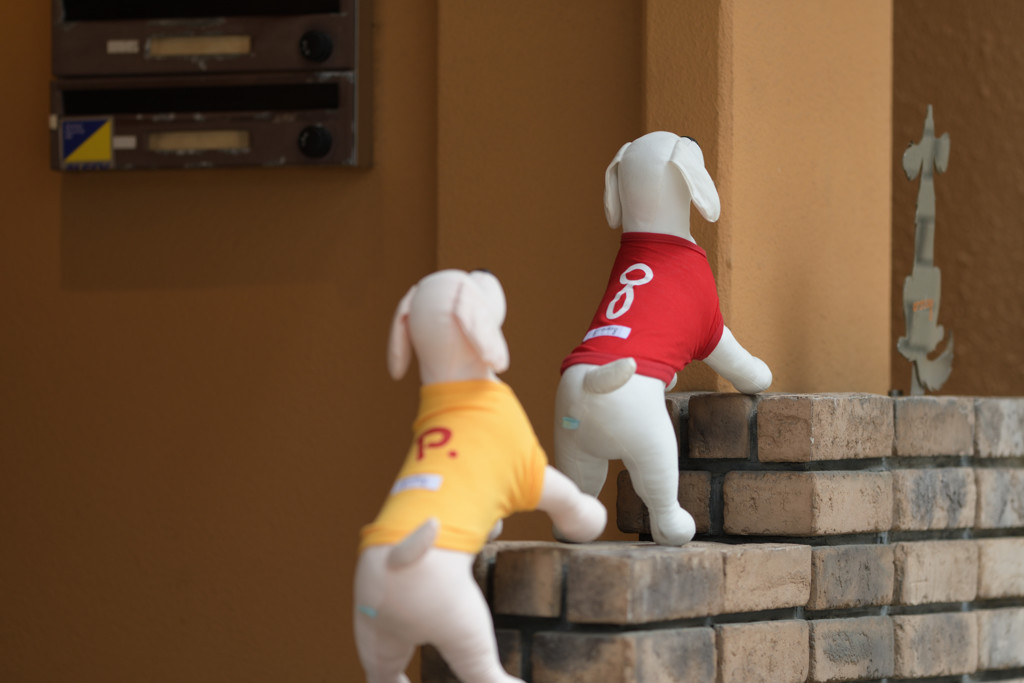 元町Dog