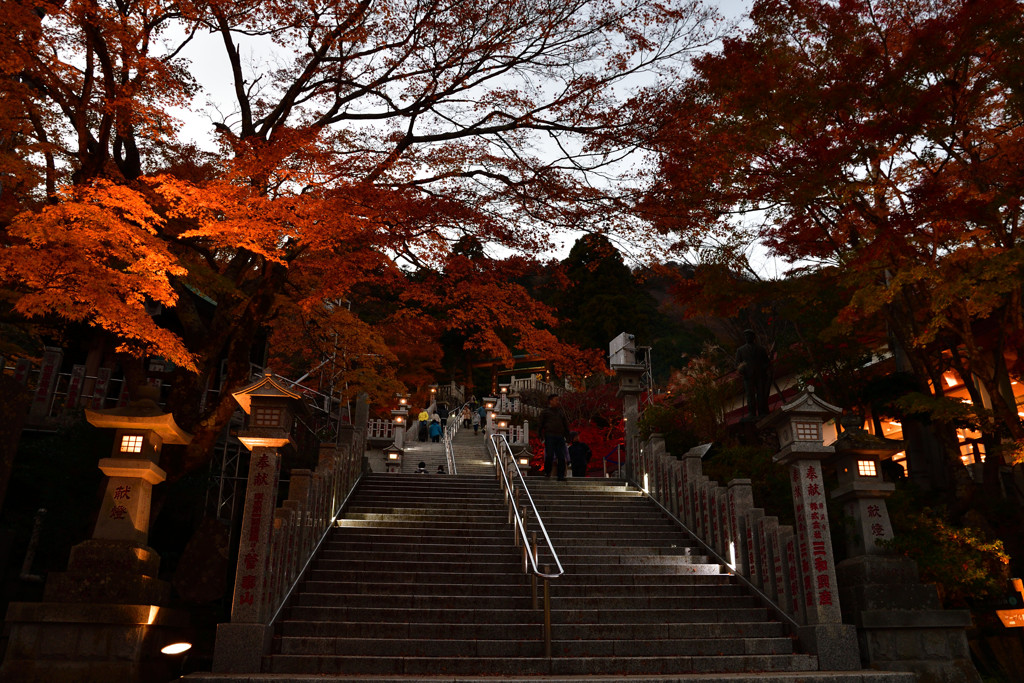 大山の夕暮れ