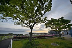 明石海峡の朝