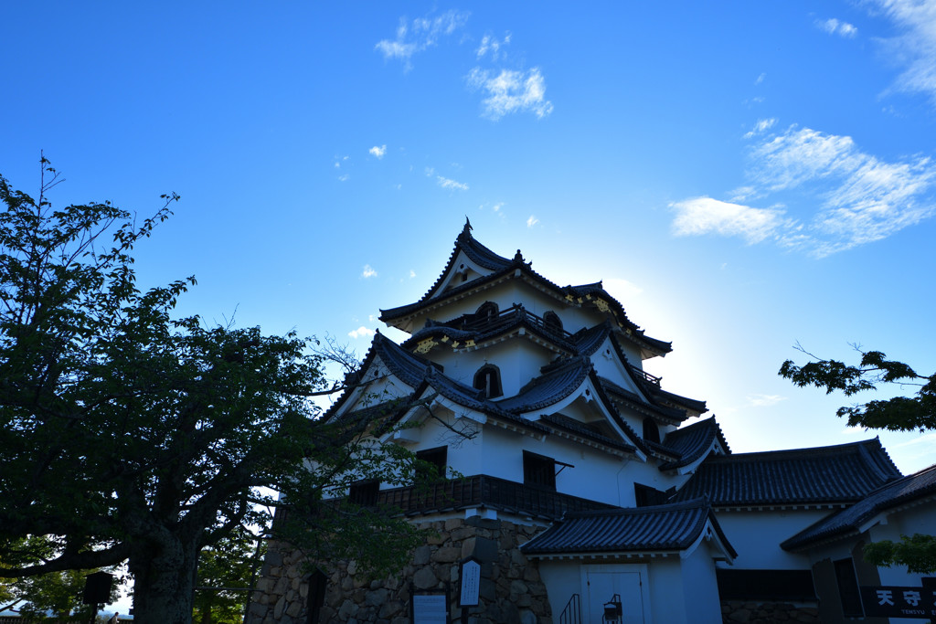夕暮れの彦根城