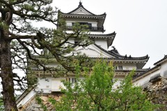 高知城