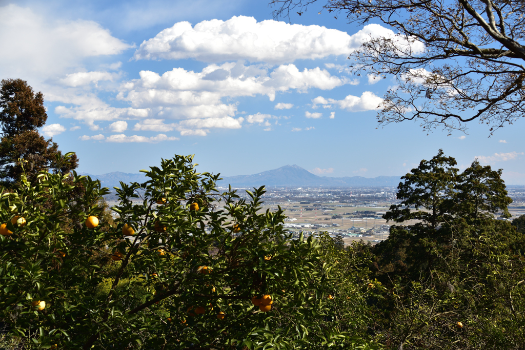 太平山から見える筑波山