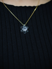 雪中花