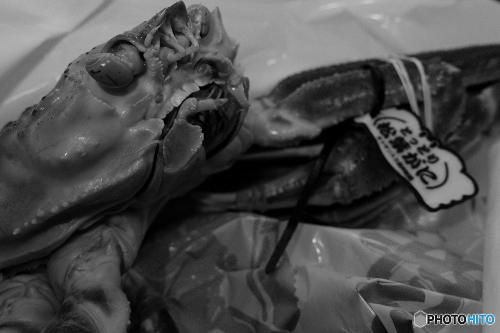 我が名はごちそう