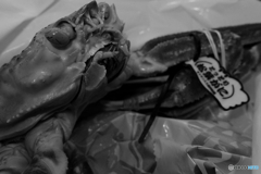 我が名はごちそう