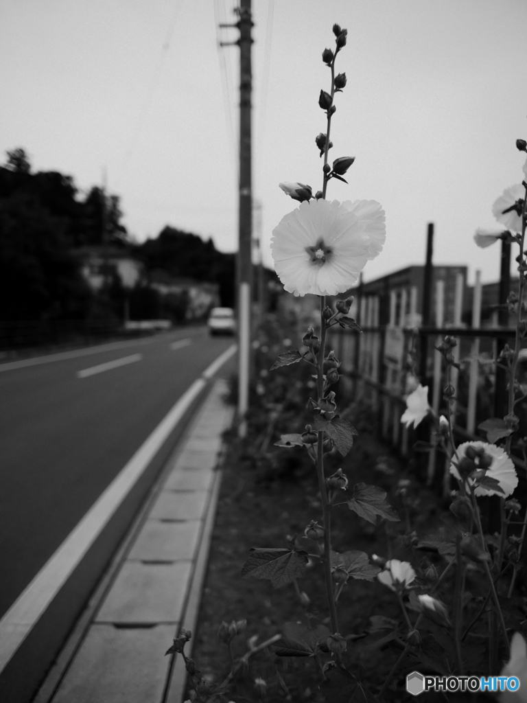 アイレベル