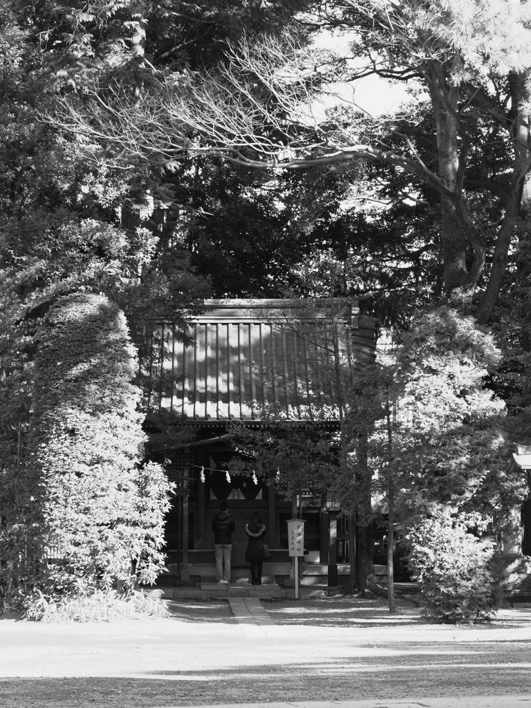 願いはきっと同じ・・・