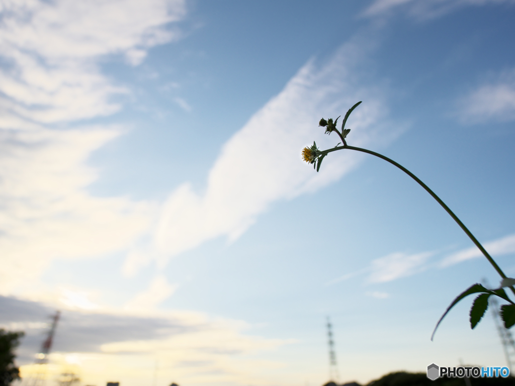 天高く