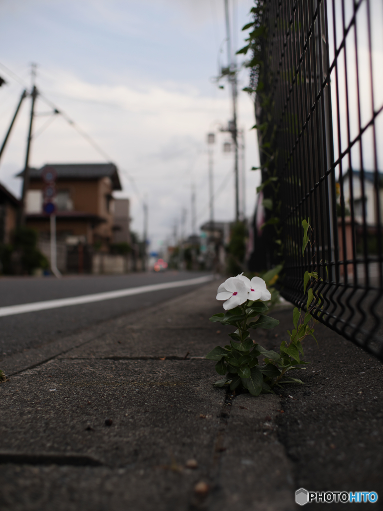 その下に土がある