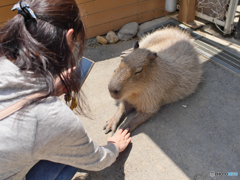 おっかなびっくり