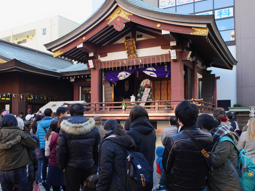 元旦は起きねば……無理だぁ