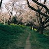 春の遊歩道