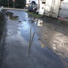 雨上がりの小道