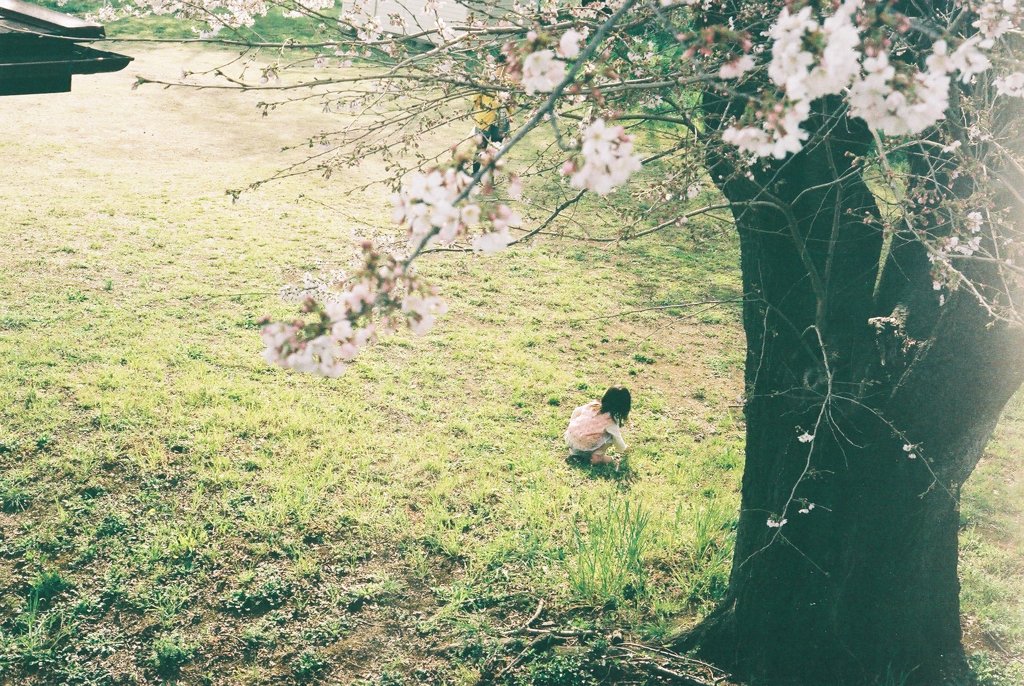 はるまついぶき