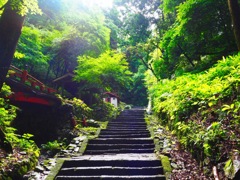 照らす光