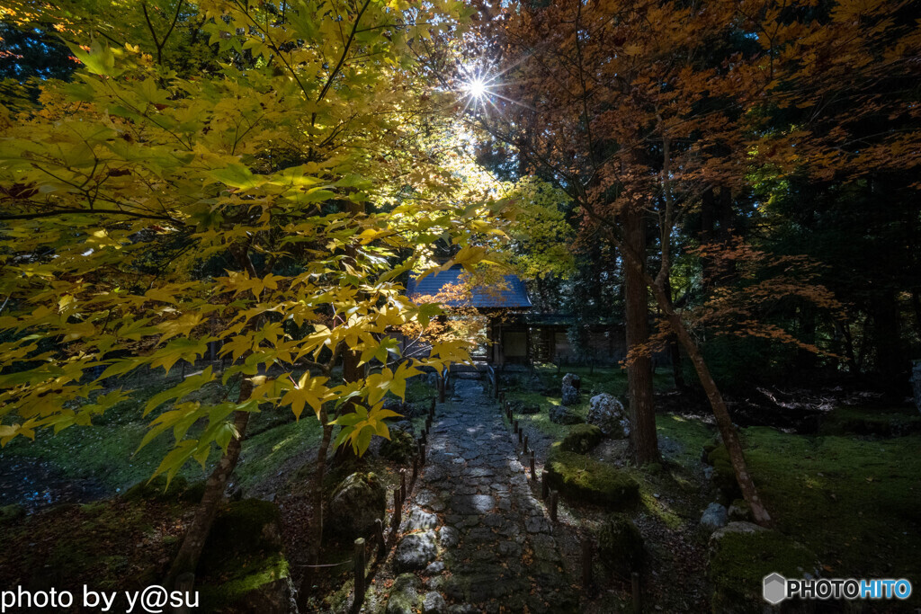 京都　常照皇寺の紅葉②