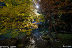 京都　常照皇寺の紅葉②