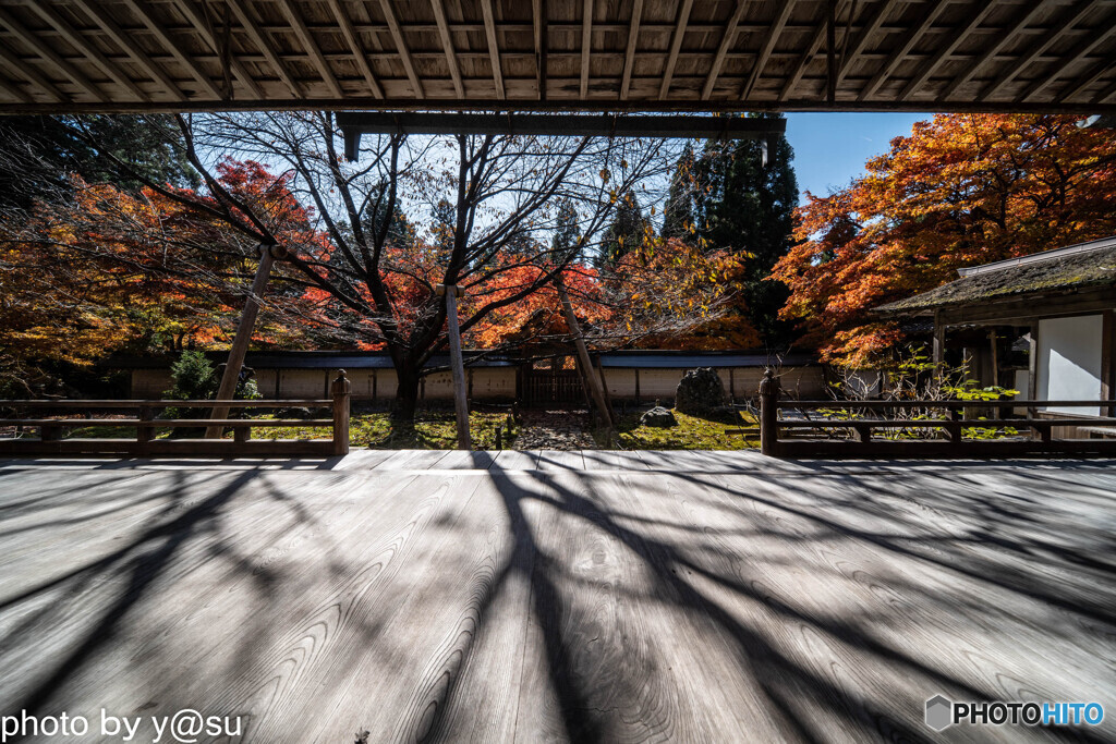 京都　常照皇寺の紅葉①