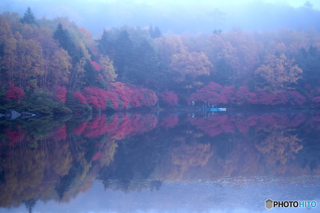 白駒池の紅葉③