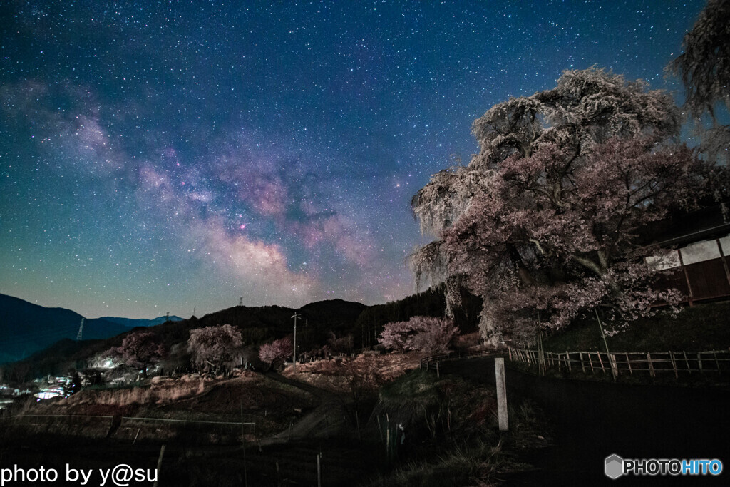 勝間薬師堂のしだれ桜と天の川②