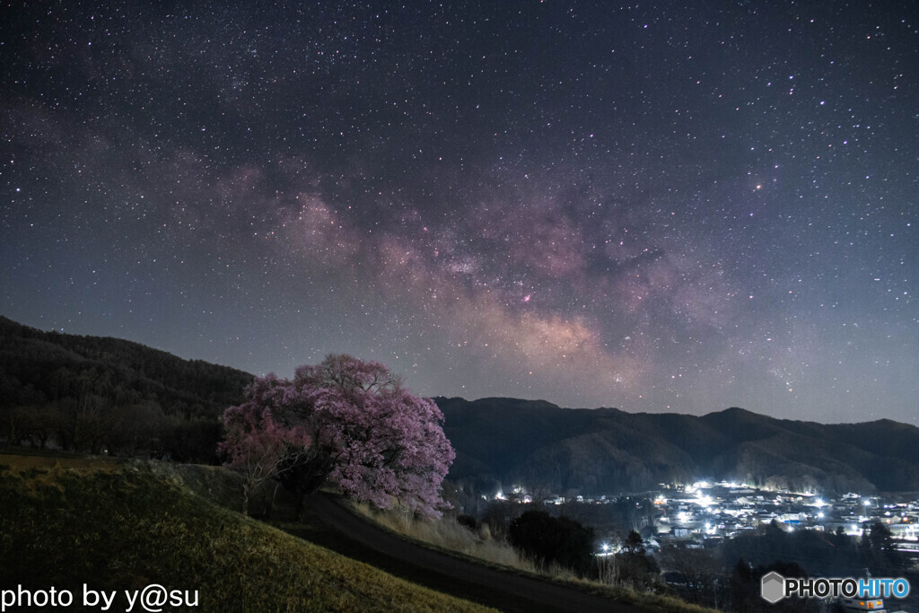 一本桜 と夏の天の川