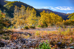 冠雪の乗鞍と乗鞍高原の紅葉⑧