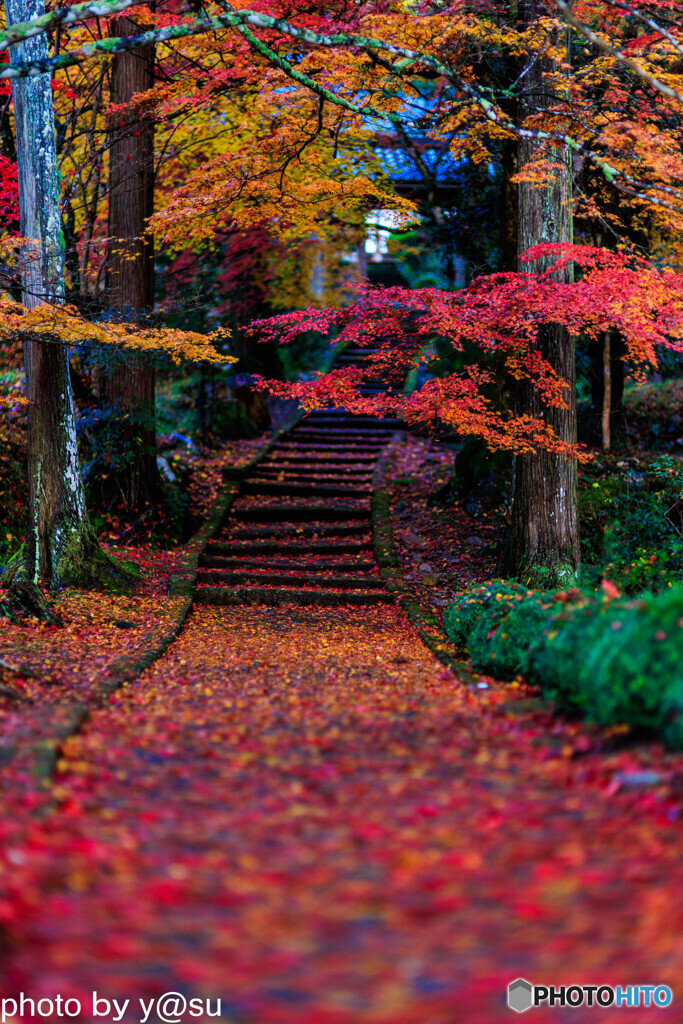 錦秋の龍穏寺