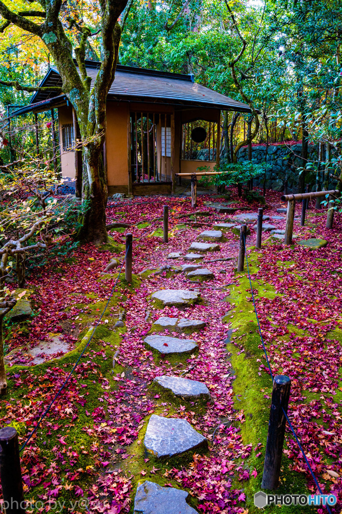 旧竹林寺の紅葉Ⅲ