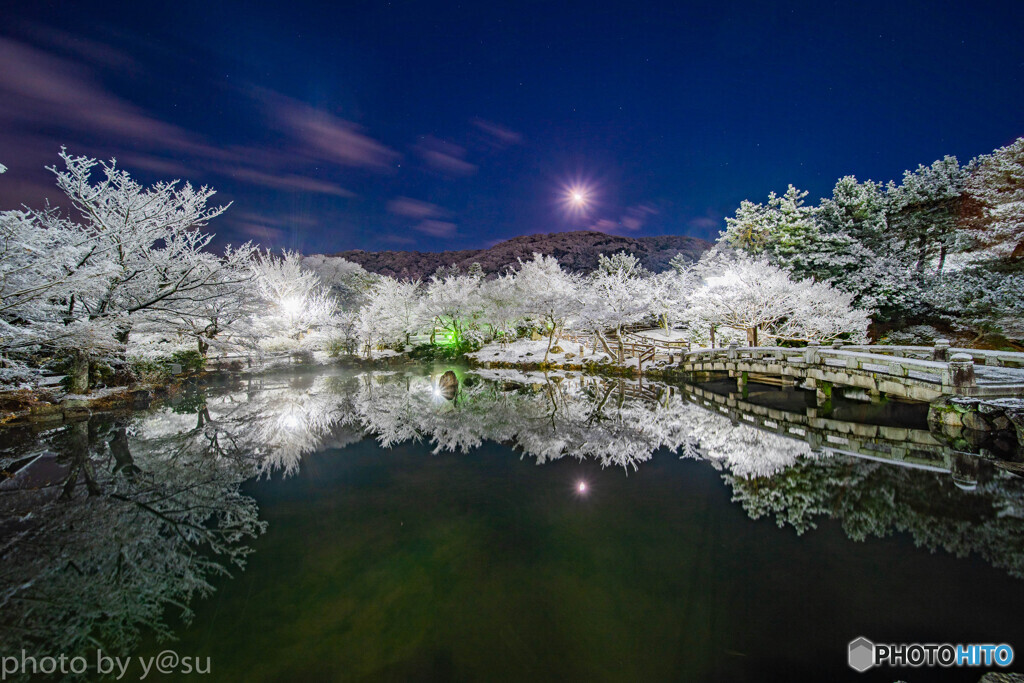 夜の京都　雪景色③