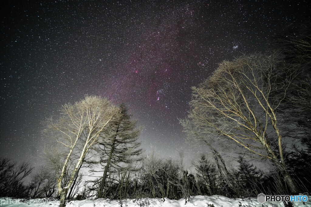 霧氷と冬の星空