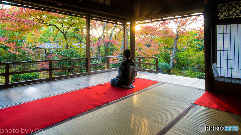 大法院の紅葉