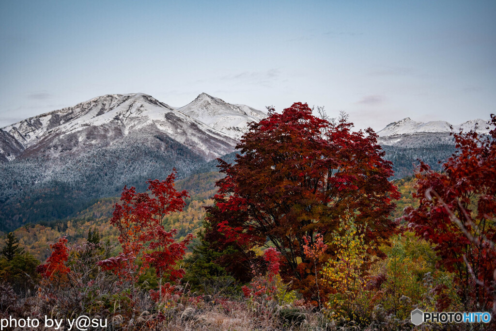 冠雪の乗鞍と乗鞍高原の紅葉⑨
