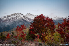 冠雪の乗鞍と乗鞍高原の紅葉⑨