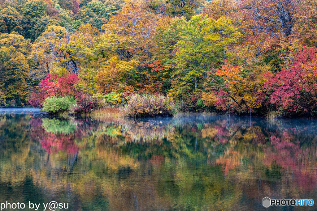 鎌池の紅葉Ⅳ