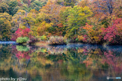 鎌池の紅葉Ⅳ