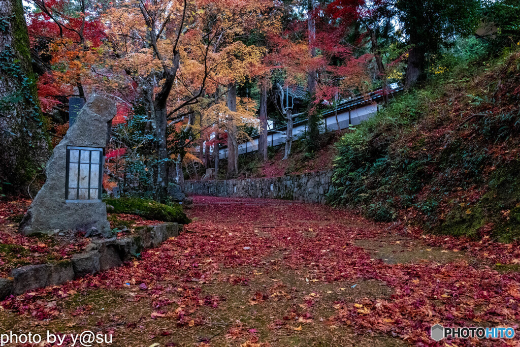 錦秋の寺院②