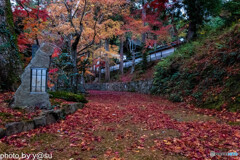錦秋の寺院②
